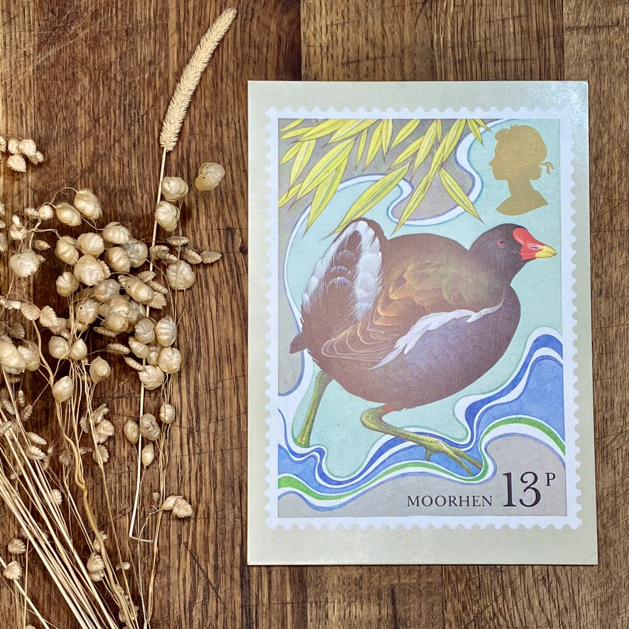 Vintage bird postcards with first day issue stamps ~ set of 4 | British birds by Michael Warren | 1980
