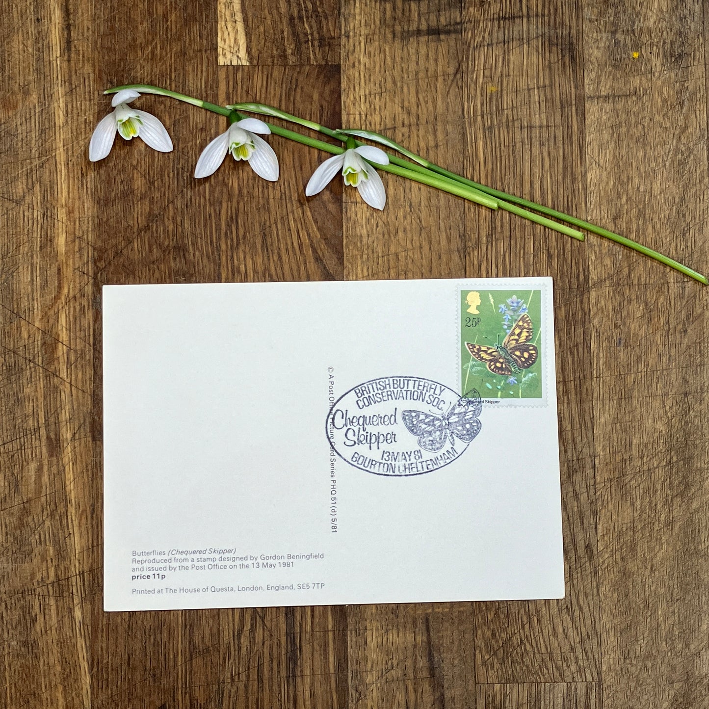 Butterfly vintage postcard with first day issue stamps | Chequered Skipper butterfly | Butterflies by Gordon Beningfield | 25p stamp 1981