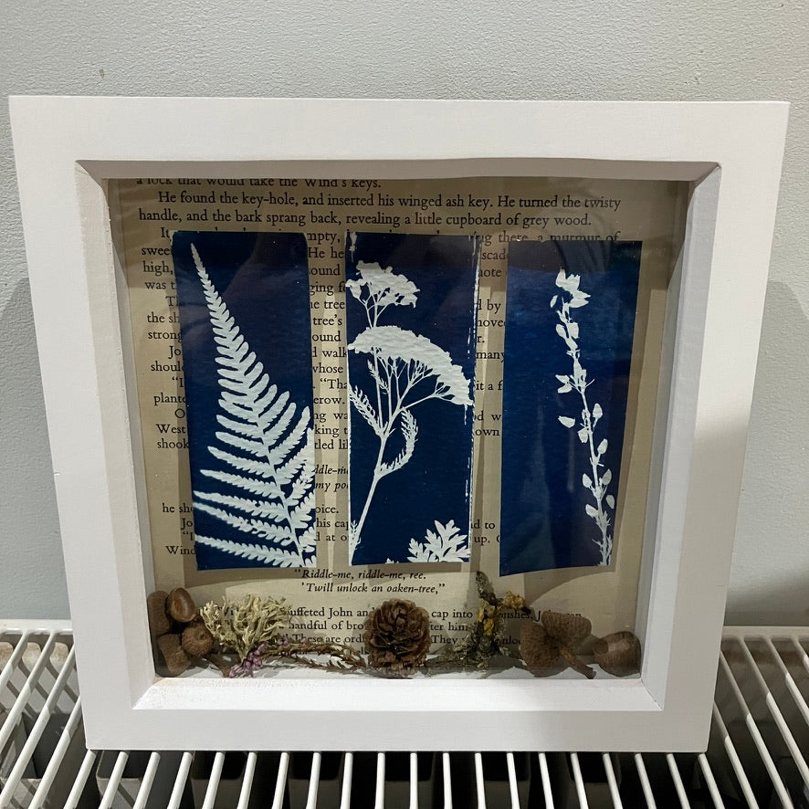 Moorland and meadows