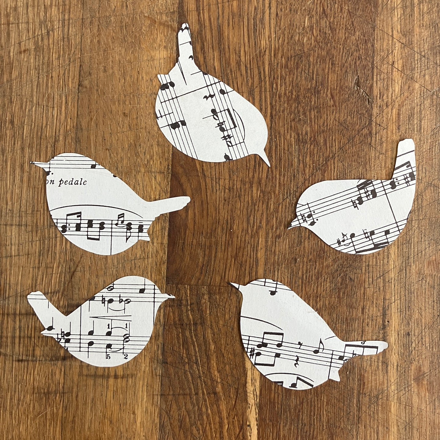 5 paper wrens