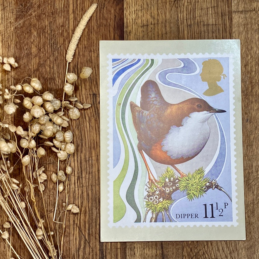 Vintage bird postcards with first day issue stamps ~ set of 4 | British birds by Michael Warren | 1980