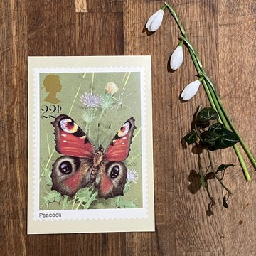 Butterfly vintage postcard with first day issue stamps | Peacock butterfly | Butterflies by Gordon Beningfield | 22p stamp 1981