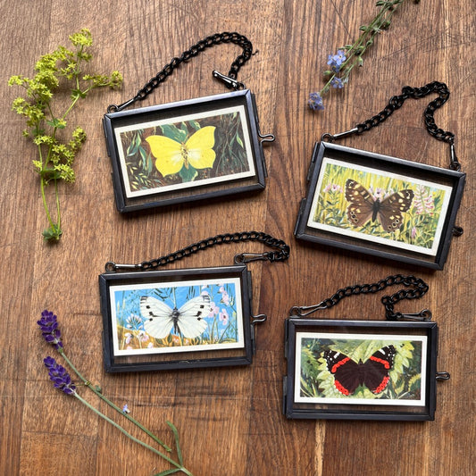 Tiny tea cards ~ framed vintage British Butterflies art ~ set of 4