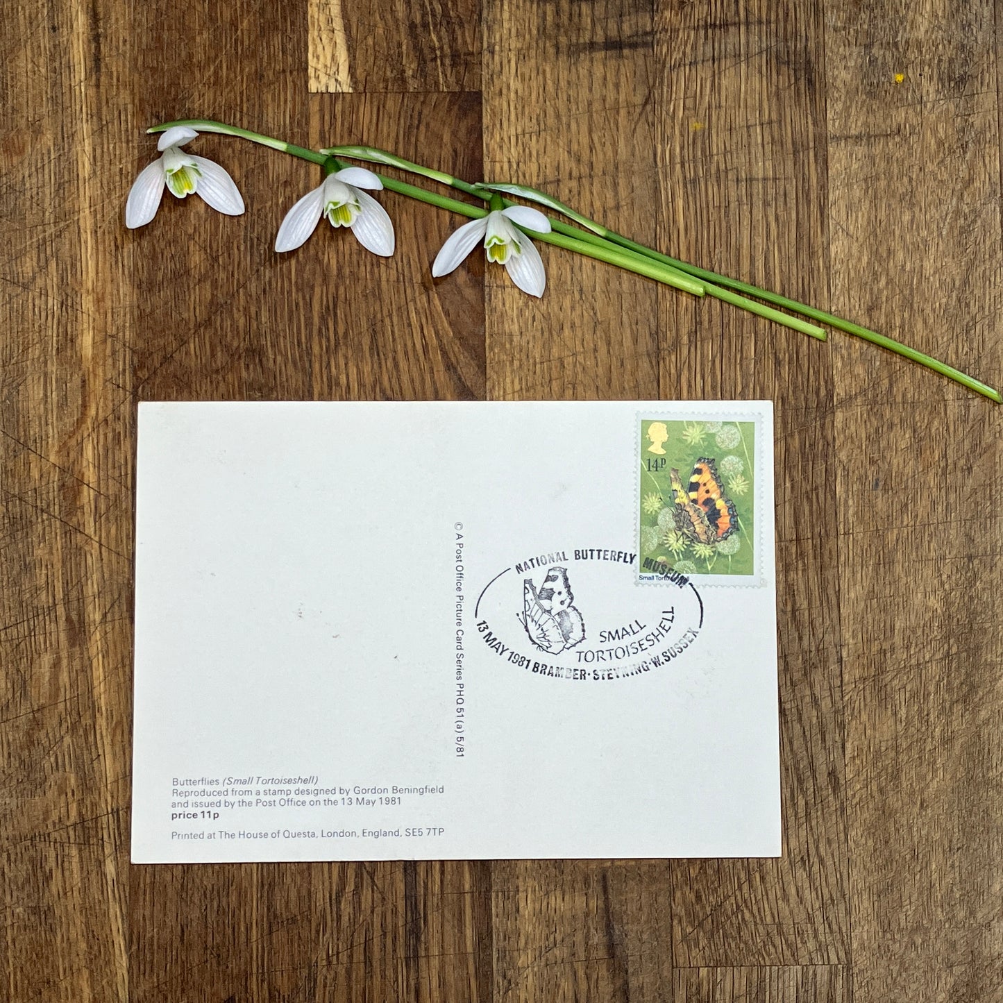 Butterfly vintage postcard with first day issue stamps | Small Tortoiseshell butterfly | Butterflies by Gordon Beningfield | 14p stamp 1981