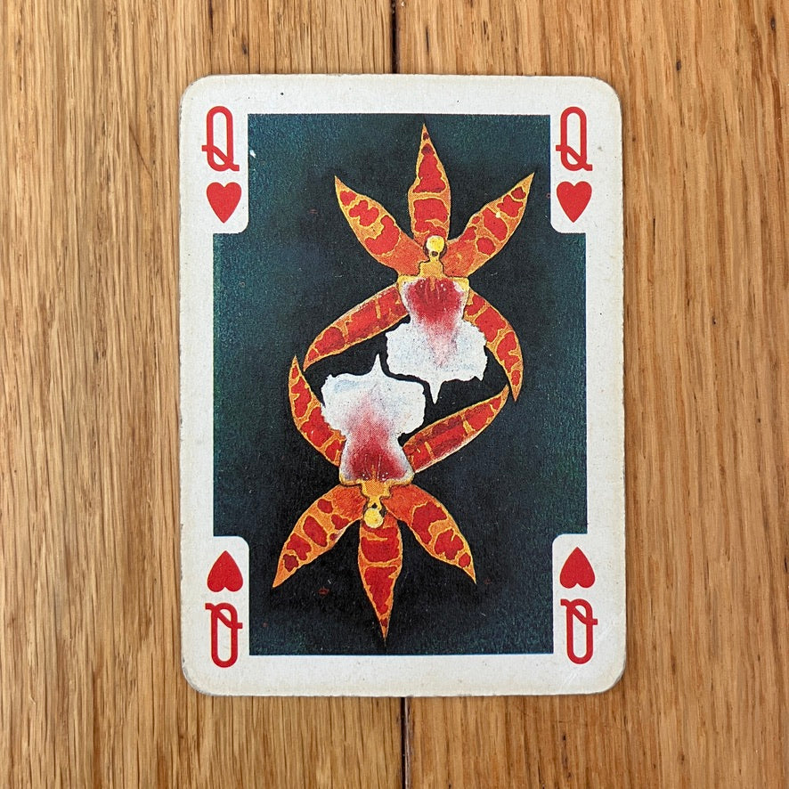 Art for the Earth single transformation playing card ~ King / Queen of hearts