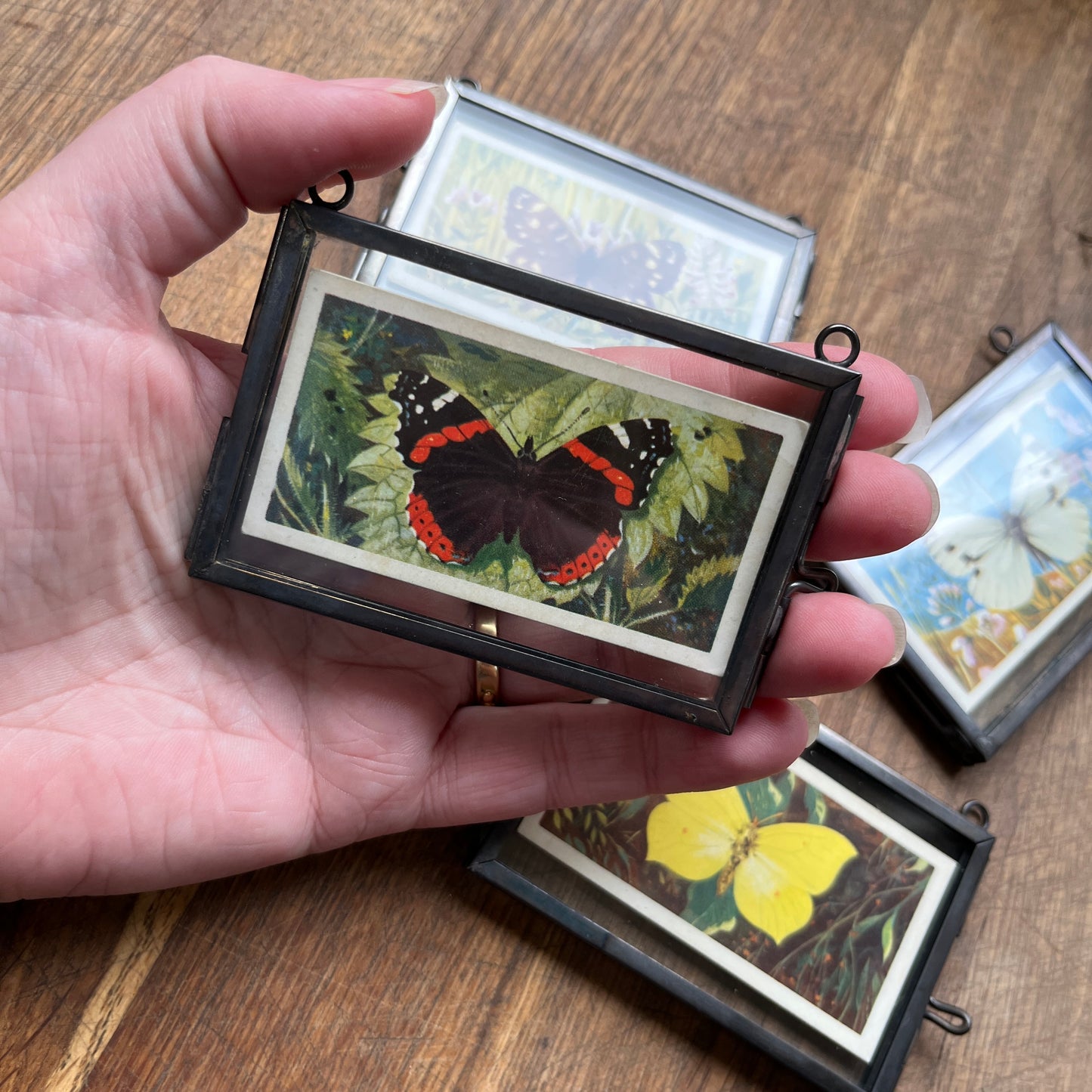 Tiny tea cards ~ framed vintage British Butterflies art ~ set of 4