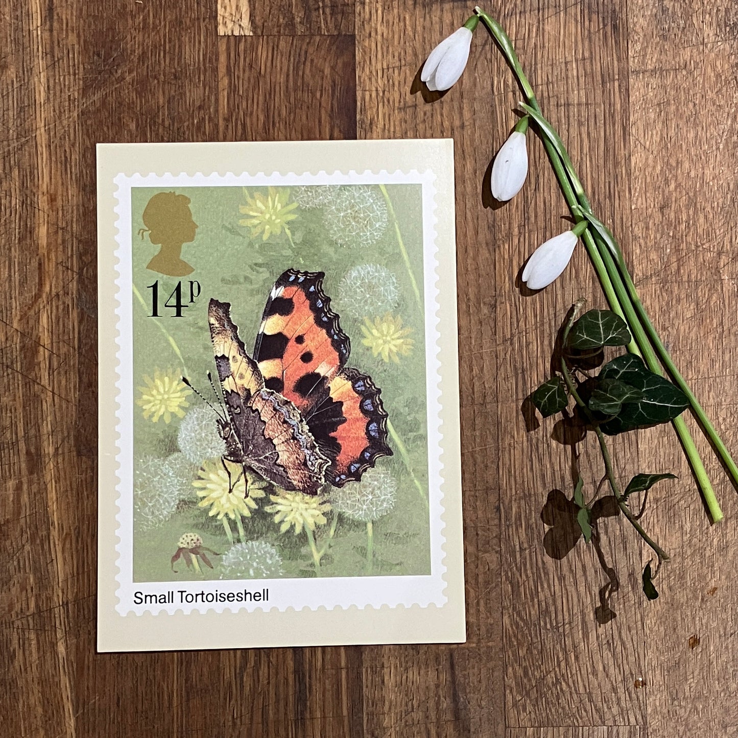 Butterfly vintage postcard with first day issue stamps | Small Tortoiseshell butterfly | Butterflies by Gordon Beningfield | 14p stamp 1981