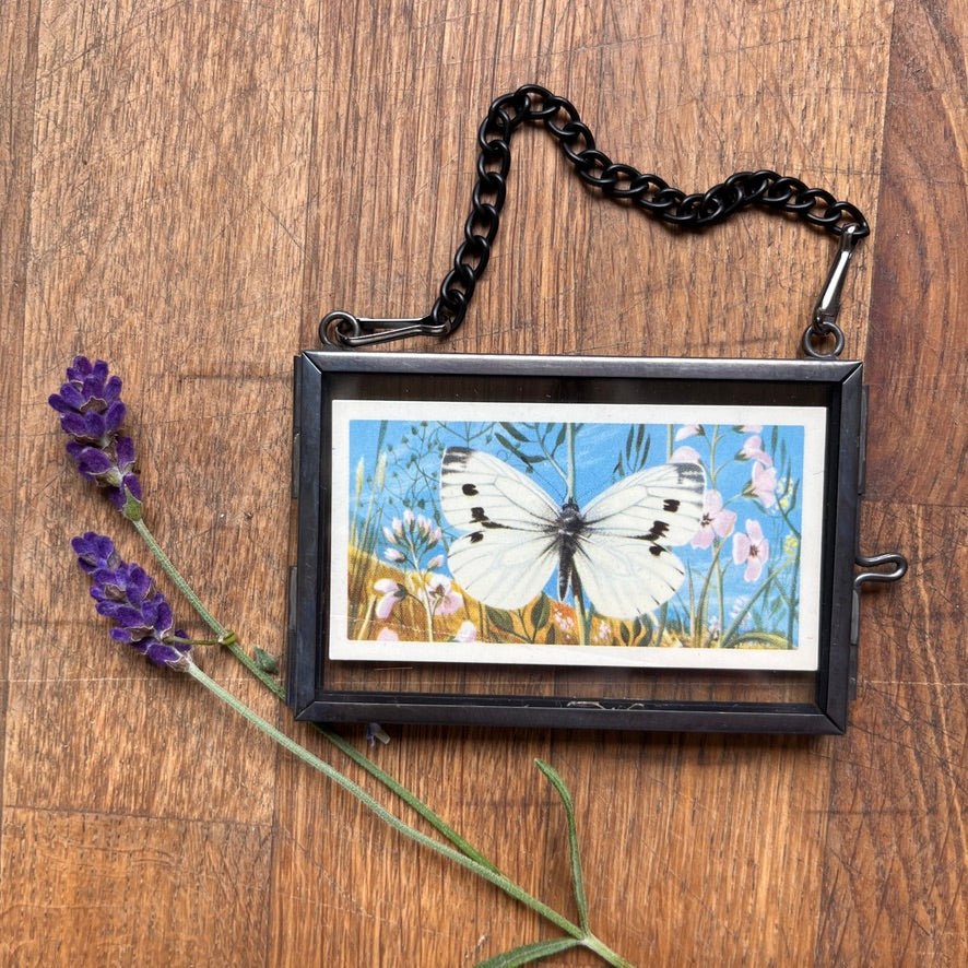 Tiny tea cards ~ framed vintage British Butterflies art ~ set of 4