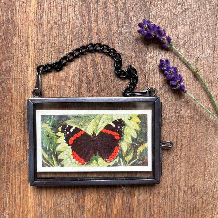 Tiny tea cards ~ framed vintage British Butterflies art ~ set of 4