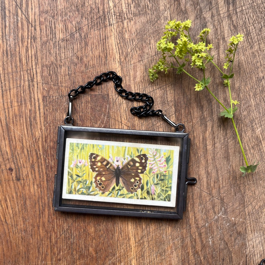 Tiny tea cards ~ framed vintage British Butterflies art ~ set of 4