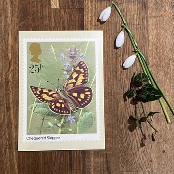 Butterfly vintage postcard with first day issue stamps | Chequered Skipper butterfly | Butterflies by Gordon Beningfield | 25p stamp 1981