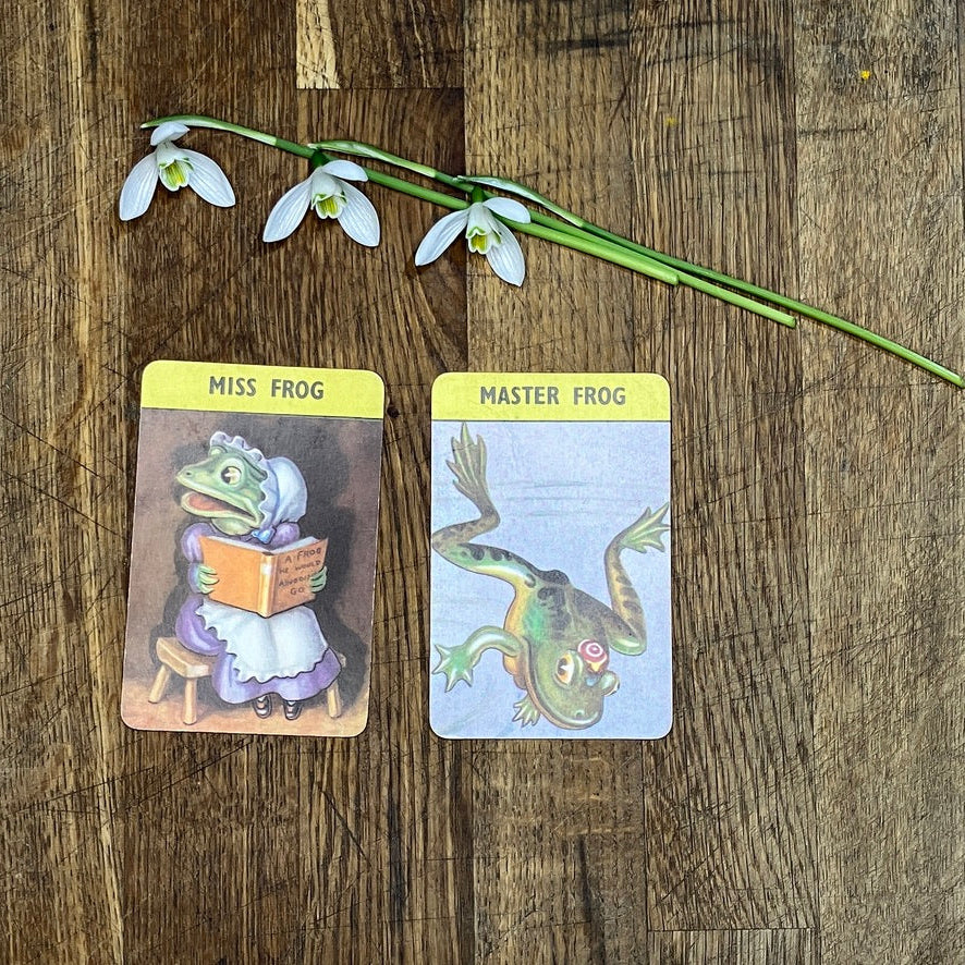 Mr Frog & Mrs Frog playing cards from the Woodland Happy Families card game