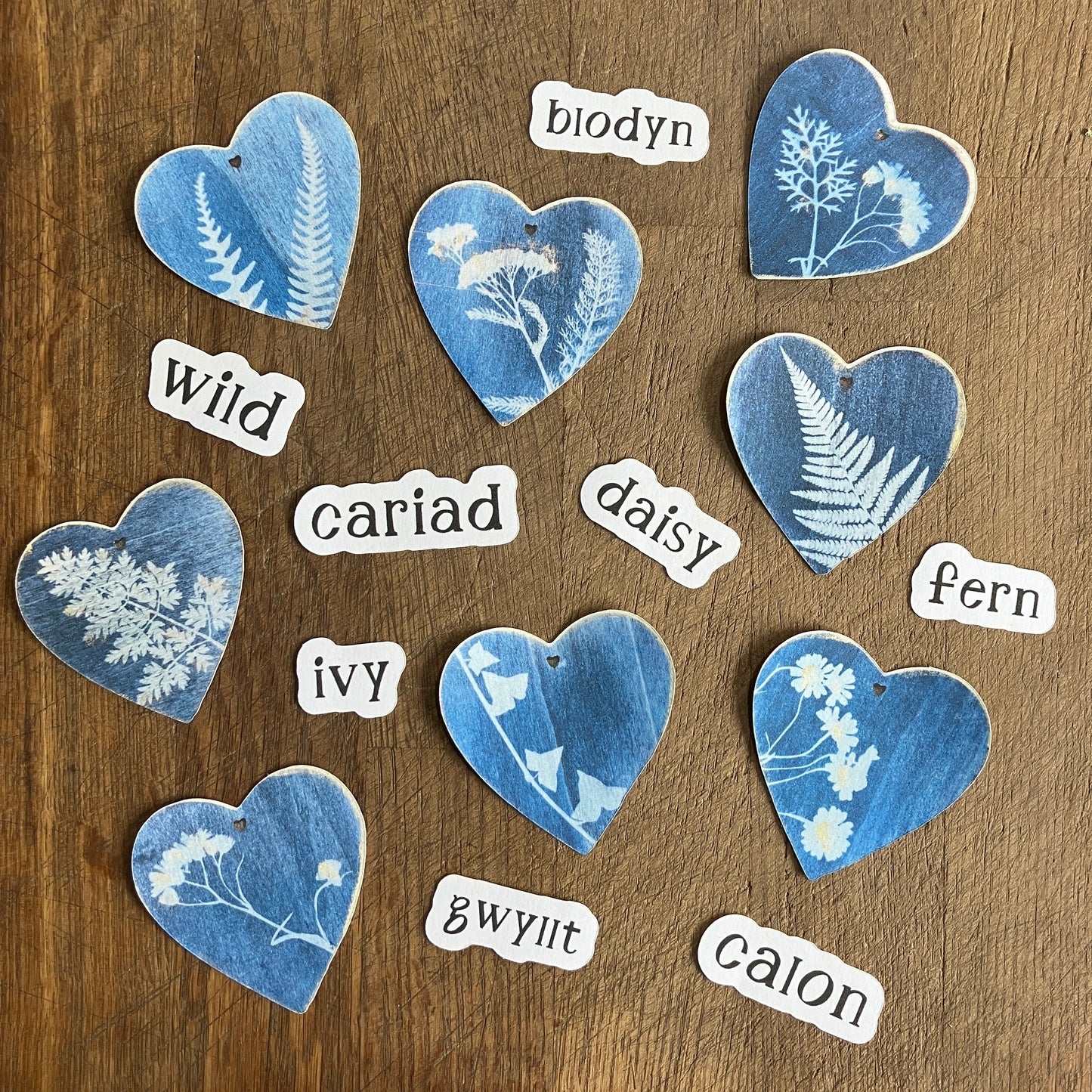 8 x small botanical heart stickers with Welsh & English words